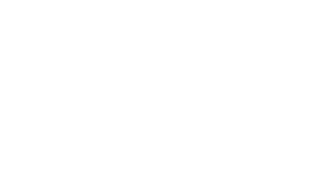 AVOmap Logo